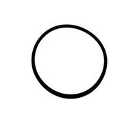 AstralPool JUNTA TàRICA D. 118X4 TAPA PREF.25470 marca