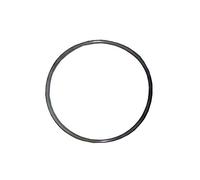 AstralPool JUNTA TORICA 255X4 marca