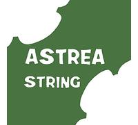 Astrea 141110 VIOLIN 3/4-4/4 SET