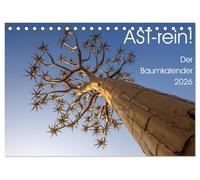 Astrein! - Der Baumkalender 2026 (Tischkalender 2026 DIN A5 quer), CALVENDO Monatskalender: Bäume aus verschiedenen Perspektiven in 12 hochwertigen Fotografien