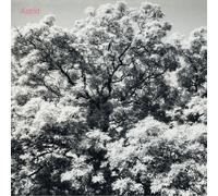 Broken Silence – Always Digging The Same Hole
