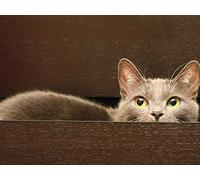 Astrid - West Lighthouse Is Not So Far