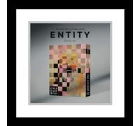 Astro Cha Eunwoo Entity 1º Mini Álbum CD+Cartel Plegable en el Paquete+Libro de Fotos+Tarjeta Fotográfica+Adhesivo+Entity DIY+Papel de Letras tipo Acordeón+Seguimiento Sellado EUN WOO (Versión Igual)