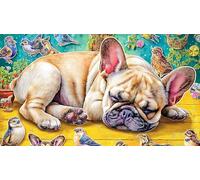 Astronauta Flotante en el Espacio Puzzle de 1000 Piezas para Juguetes Infantiles Cartón 100% Reciclado Juegos educativos clásicos 75x50cm/1000pcs