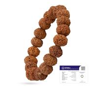 Astrotalk 7 Mukhi Rudraksha Pulsera | Potente escudo de positividad y crecimiento | Cuentas naturales originales de Rudraksha | Pulsera unisex de astrología para hombres y mujeres