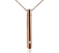 Asukohu Juego de joyas de acero inoxidable para perro, para regalo conmemorativo, con forma de cilindro, urnas de cremación, cuello, cristal, para mujer