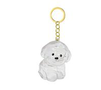 Asukohu Llavero conmemorativo de pelo de mascota transparente para perros, recuerdos, joyería, soporte para pieles de perro, colgante emocional para dueños de mascotas, conservación de pelo de perro