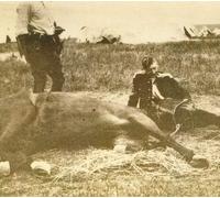 Asva - Presences of Absences