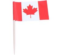 Asyduey 50pzs Mini palillo de Dientes de Madera con Bandera para Decorar Pasteles de Frutas de Fiesta - Canada