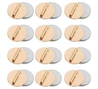 Asyduey Convertidor de Broche de Mini Alfiler de 12 Piezas, Pasador de Metal MagnéTico Convertidor de Alfiler de Broche Sin DañOs para Chales Hijab de Bufanda()