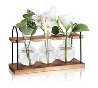 Asyduey EstacióN de PropagacióN de Plantas con Soporte de Madera, Estaciones de PropagacióN de Escritorio para Terrario de Plantas, JarróN de Vidrio con Bombilla para Maceta de Aire