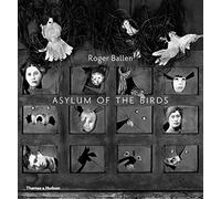 Asylum of the Birds