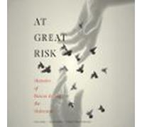 At Great Risk (audiolibro)