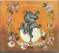 At the Foot of My Rival by The New Amsterdams