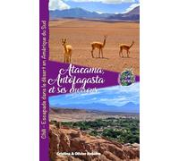 Atacama, Antofagasta et les environs: Chili - Escapade dans le désert en Amérique du Sud (Voyage Experience)