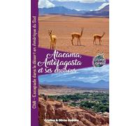 Atacama, Antofagasta et les Environs (Voyage Experience)