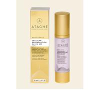 Excellence. Cellular Regeneration Day - ATACHE