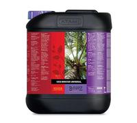 ATAMI B'Cuzz - Booster Universal de Coco (5 L)