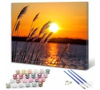 Atardecer Pintar por Numeros Niños, Pintar por Numeros Adultos Orilla del lago Paint by Numbers Principiantes, Manualidades Niños 10 Años DIY Kit de Pintura al Óleo de Lienzo 20x30cm Sin Marco Y3-652
