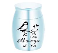Ataúd de urna para mascotas para cenizas, brazalete de cremación, ataúd, regalos de condolencia, suministros para mascotas, accesorios de joyería conmemorativa, contenedor de cenizas para humanos