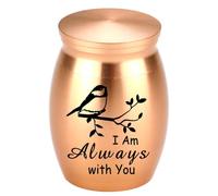 Ataúd de urna para mascotas para cenizas, brazalete de cremación, ataúd, regalos de condolencia, suministros para mascotas, accesorios de joyería conmemorativa, contenedor de cenizas para humanos