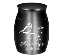 Ataúd de urna para mascotas para cenizas, brazalete de cremación, ataúd, regalos de condolencia, suministros para mascotas, accesorios de joyería conmemorativa, contenedor de cenizas para humanos