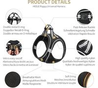 ATBUSS 1 Juego De Correas De Malla para El Pecho con Correa, Correa para Perro Ajustable Y Cómoda, Correa Reflectante Transpirable, Correa para Mascotas Al Aire Libre.