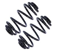 ATEC GERMANY 2x Muelle suspensión trasera izquierda y derecha compatible con OPEL ZAFIRA/ZAFIRA FAMILY B (A05), ZAFIRA B furgoneta/berlina grande (A05)