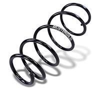 ATEC GERMANY 2x Suspensión trasera muelle espiral izquierda y derecha compatible con SEAT IBIZA II (6K1), IBIZA III (6K1), VW POLO (6N2), POLO Van panel van/hatchback (6N1), POLO III (6N1)