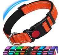 ATETEO Dog Collar, Reflective Strong Dog Collar, Adjustable Heavy Duty Dog Collar with Metal Buckle for Small Dogs, Orange, S: 9-14.2 Inch