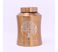 ATGQBCF Urna para Animales 800/500/250Ml Urnas Mascotas Cremación Mascotas Recuerdo Pueden Usar Perros Gatos Pájaros Ratones Cenizas Recuerdos Memoriales para Mascotas(Gold,800ml)