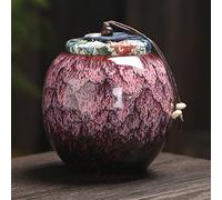 ATGQBCF Urna para Animales Cerámica Cenizas Urna Titular Pet Memorial Funeral Cenizas Tarro Urna para Cremación Humana Recuerdo PAL Ataúd Memoriales para Mascotas(1)