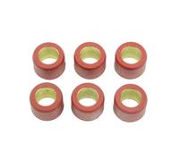 Athena S.p.A. Rodillos Variadores 18x14mm 9,5gr - Juego de 6