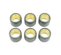 Athena S.p.A. Rodillos Variadores 23x18mm 18gr - Juego de 6
