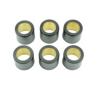 Athena S.p.A. Rodillos Variadores 25x22,2mm 30gr - Juego de 6