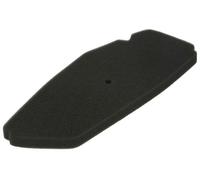 ATHENA S410480200001 Filtro de aire