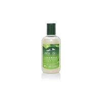 Atlantia Champú Cabello Normal - 250 ml