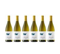 Atlantis Albariño vino blanco premium selección gourmet - 6 Botellas x 75 cl
