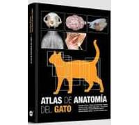 Atlas de anatomía del gato