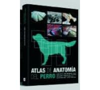 Atlas de anatomía del perro