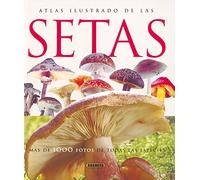 Atlas Ilustrado De Las Setas