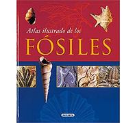 Atlas Ilustrado De Los Fosiles