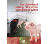Atlas Of Anatomical Pathology Of The Gastrointestinal System Of Swine