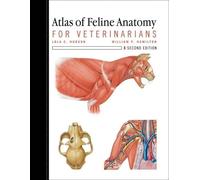 Atlas of Feline Anatomy For Veterinarians: For Veterinarians
