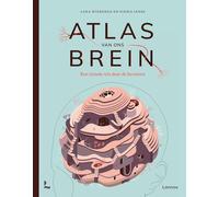 Atlas van ons brein: een visuele reis door de hersenen