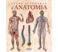 Atles Il·lustrat D Anatomia