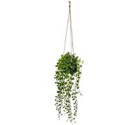 Atmosphera - Planta Colgante Artificial Living - Maceta de Cemento - H10-5 cm