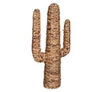 Atmosphera Cactus Hacienda - Jacinto de Agua (75 cm)