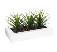 Atmosphera Centro de Mesa - 3 Aloe Vera - Altura 17 cm, Blanco, L. 31 x l. 16 x H. 17 cm