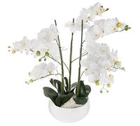 ATMOSPHERA CREATEUR D'INTERIEUR Orquídea Olla cerámica Blanca H65